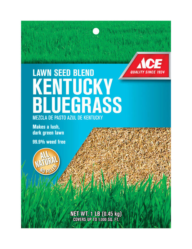 Ace Kentucky Bluegrass Full Sun Lawn Seed Blend 1 lb.