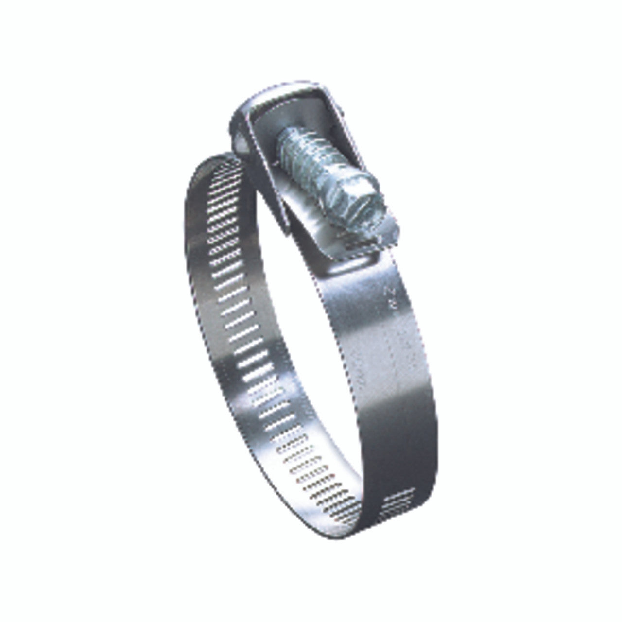 Tridon stainless steel hose clamp SAE 72 worm gear 2 in.