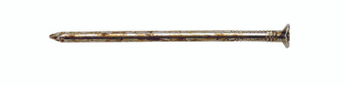 Nail 10D Sinker Coated 50#