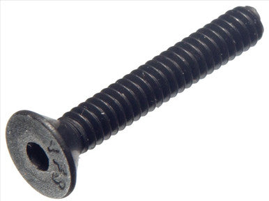 FH SOCKET CAPS 1/4-20 X 3/4  100.000 per box