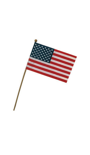 Valley Forge American Flag 4 in. H x 6 in. W